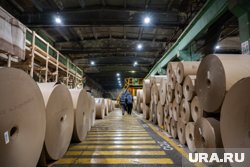 Крупнейший производитель фанеры отреагировал на информацию о покупке ЦБК в Краснокамске